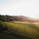 This doctor is also a farmer - from hobby to success