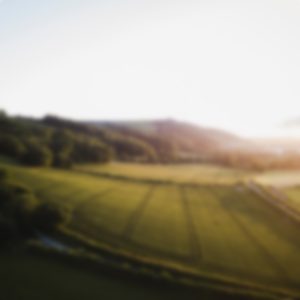 This doctor is also a farmer – from hobby to success