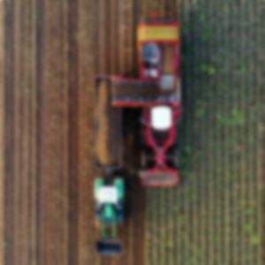 Work-friendly lunch recipes for those who don’t care