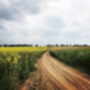 Amount of freak bread or other fruits