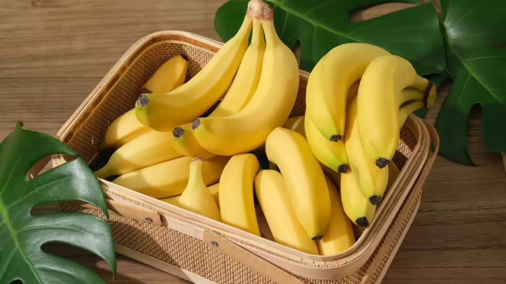 The Muthia: The Banana That Gives in Abundance, A True Bunch of Wonders