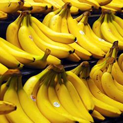 The Basrai: The Humble Banana That Powers Your Everyday Life
