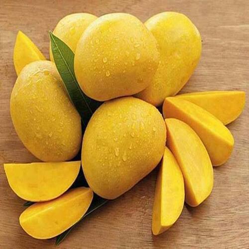 The Sweet Sovereign: Chaunsa, The Mango That Reigns with Aroma and Nectar