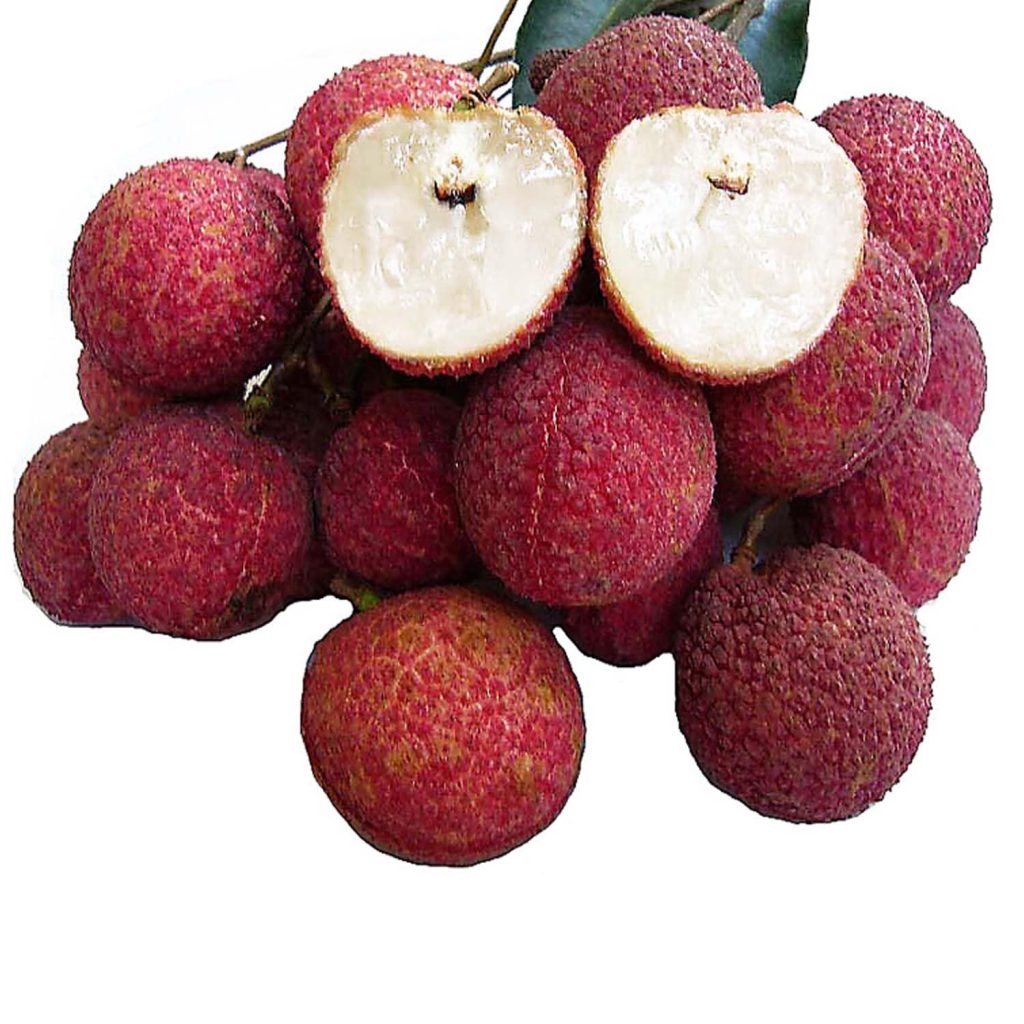 Early Seedless Litchi: The Harbinger of Joy and Your First Taste of Summer